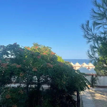 Petit Palais Venedig-Lido